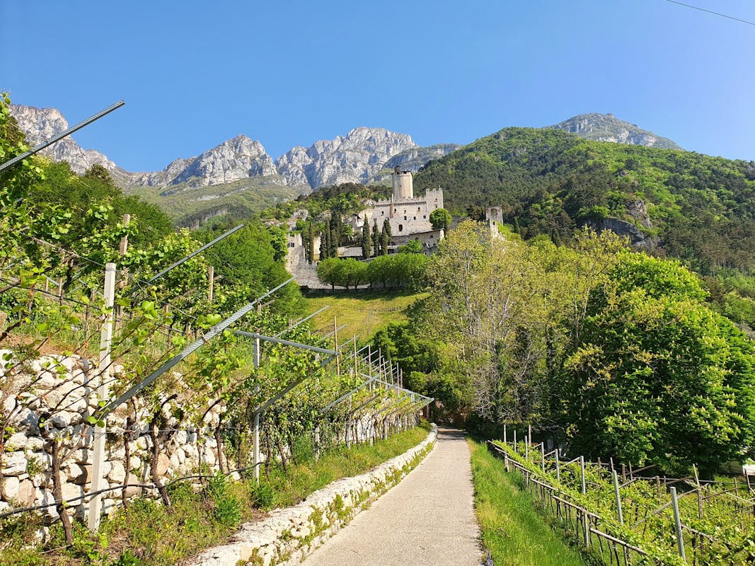 Autoctoni della Vallagarina: vini del territorio al Castello di Avio Autoctoni della Vallagarina: vini del territorio al Castello di Avio