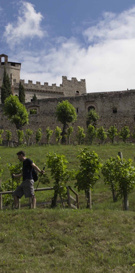 Ferragosto al castello