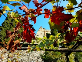 Agricola: l'estate di San Martino