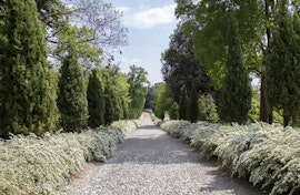 Appuntamento in Giardino