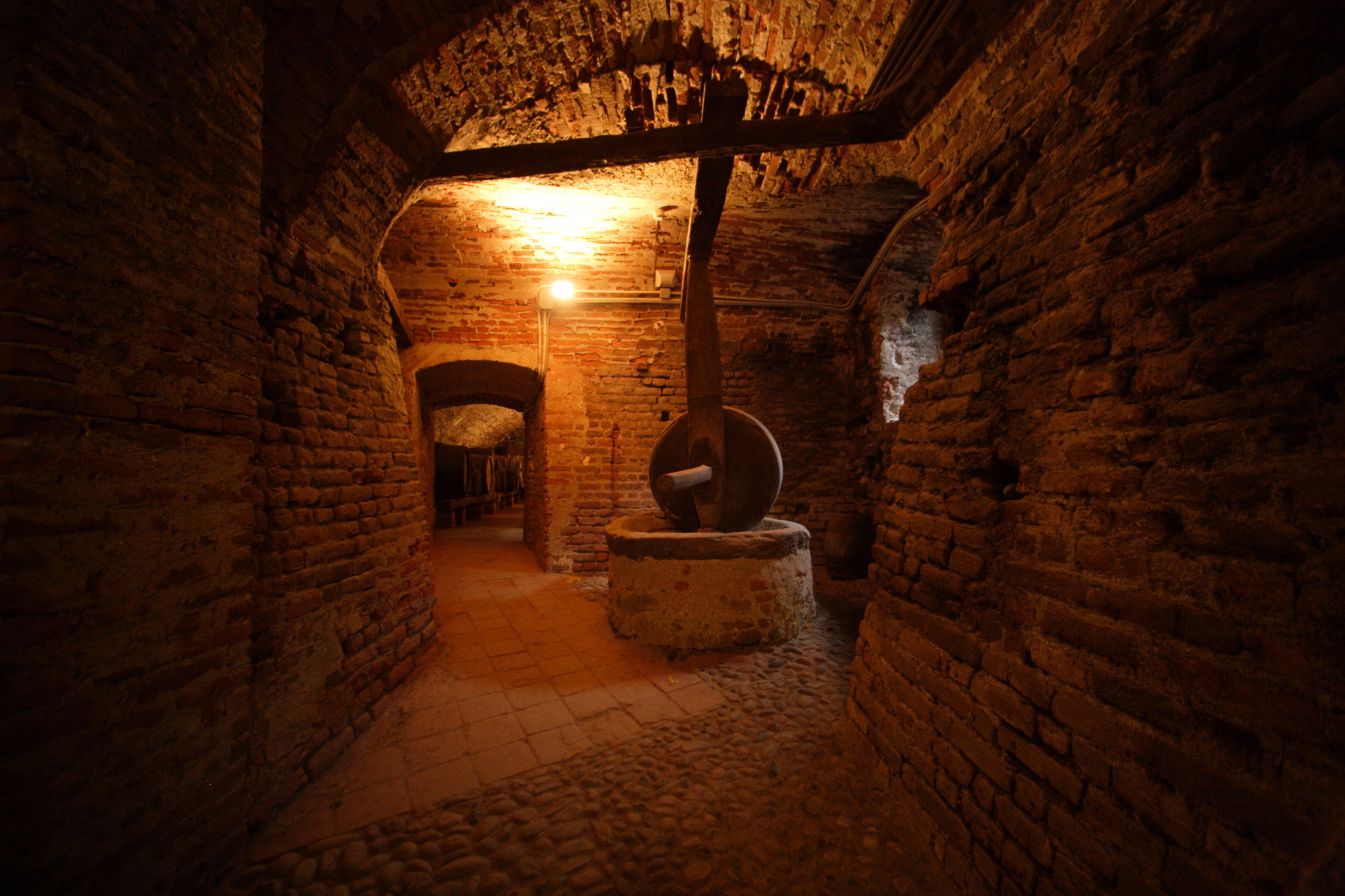 Scoprimasino: il vigneto storico