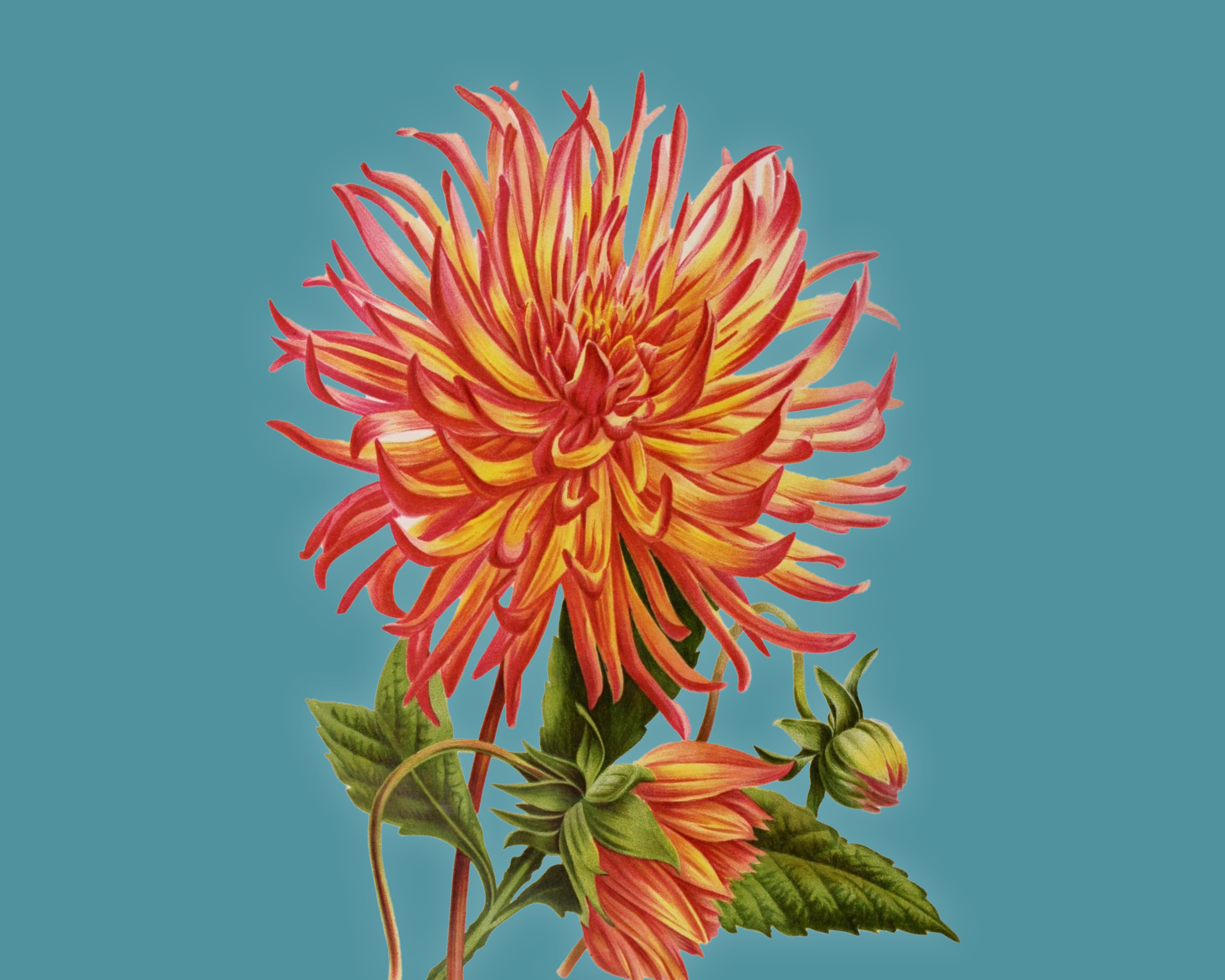 Tre giorni per il giardino