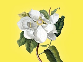 Tre giorni per il giardino
