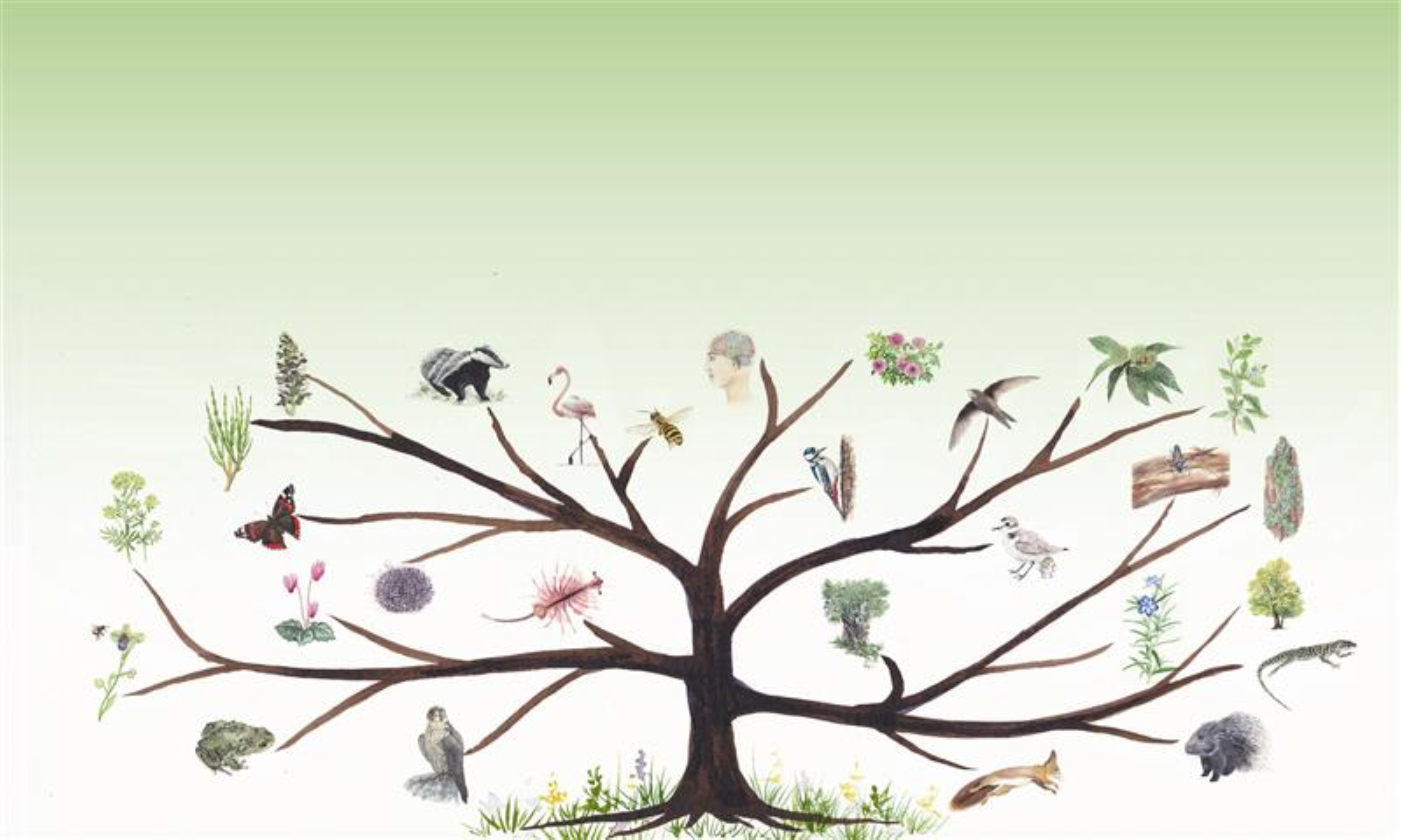 Camminata nella biodiversità: Riserva Naturale della Valle Bova e il Buco del Piombo