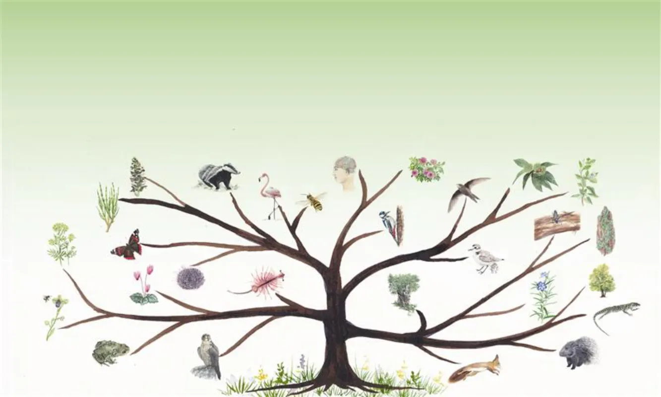 Camminata nella biodiversità: Riserva Naturale della Valle Bova e il Buco del Piombo Camminata nella biodiversità: Riserva Naturale della Valle Bova e il Buco del Piombo