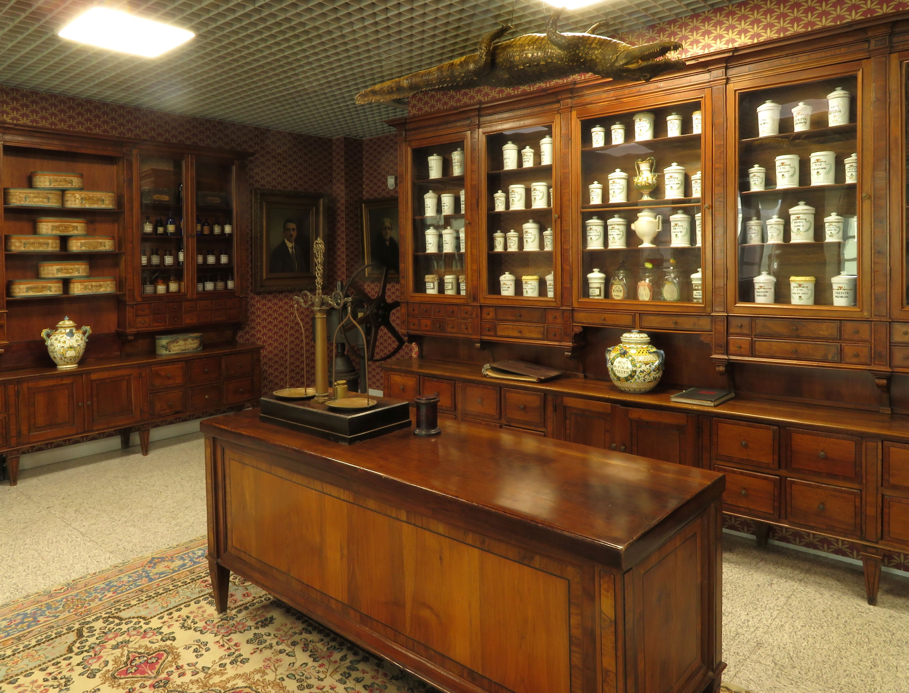 Dalla Spezieria alla Farmacia: tesori di una collezione privata