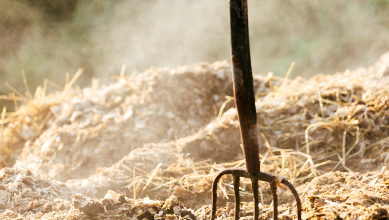 1525: di armi, fede e storia sotto il cielo di Borgo