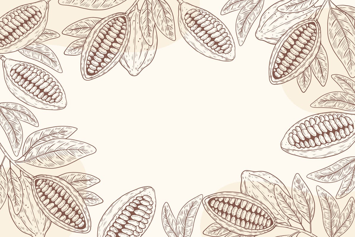 Il cioccolato dal Venezuela a Torino Il cioccolato dal Venezuela a Torino