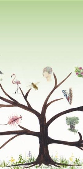 Natura urbana