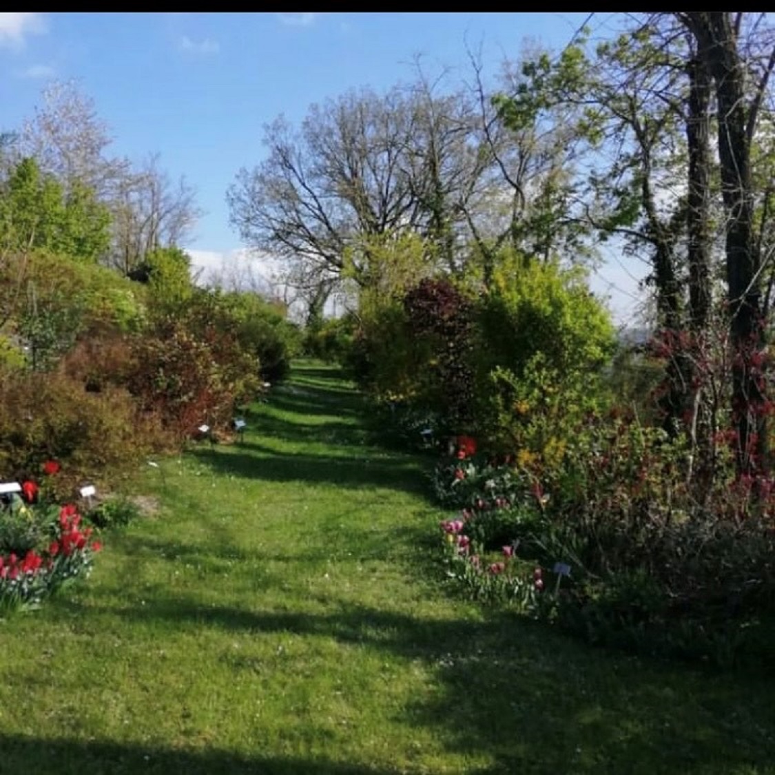Il giardino botanico Caplez