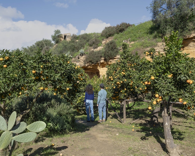 Corda In Nylon Ritorto 1,5 Mm - 100 Metri Per Giardinaggio, Muratura E Lavori Fai-Da-Te - Foto 10