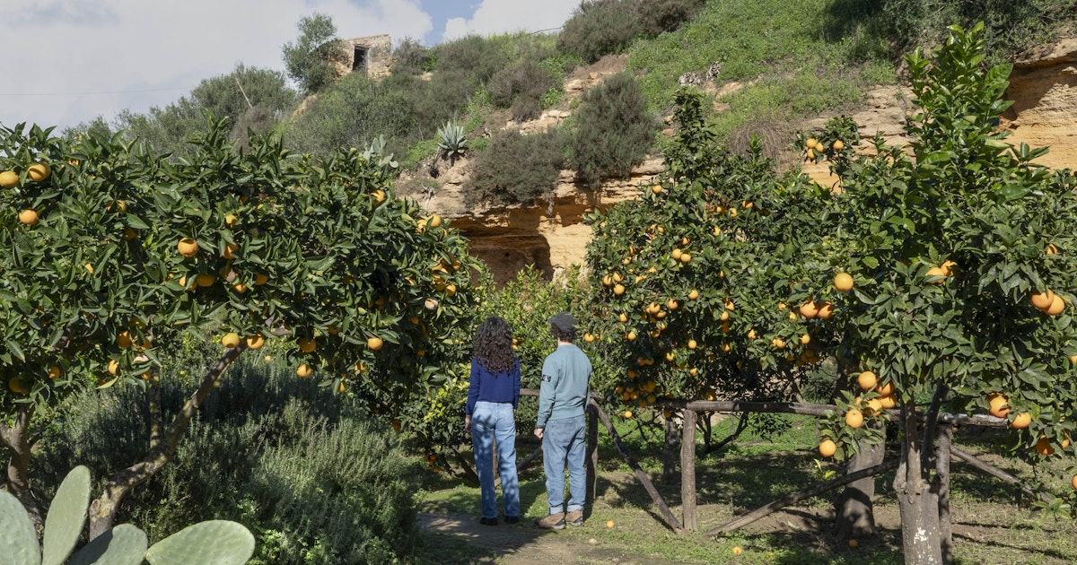 Corda In Nylon Ritorto 1,5 Mm - 100 Metri Per Giardinaggio, Muratura E Lavori Fai-Da-Te - Foto 10