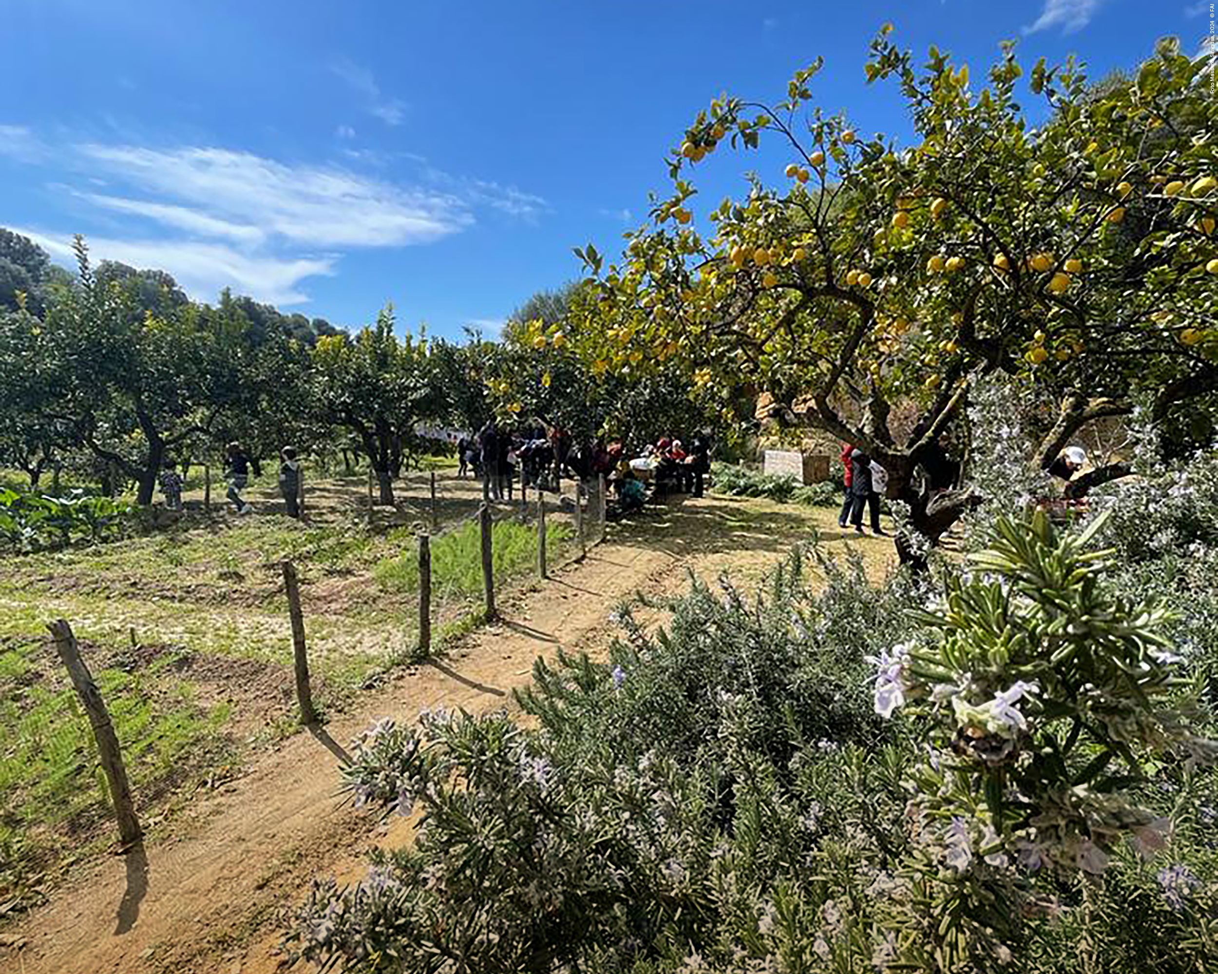 Aperti per giardinaggio