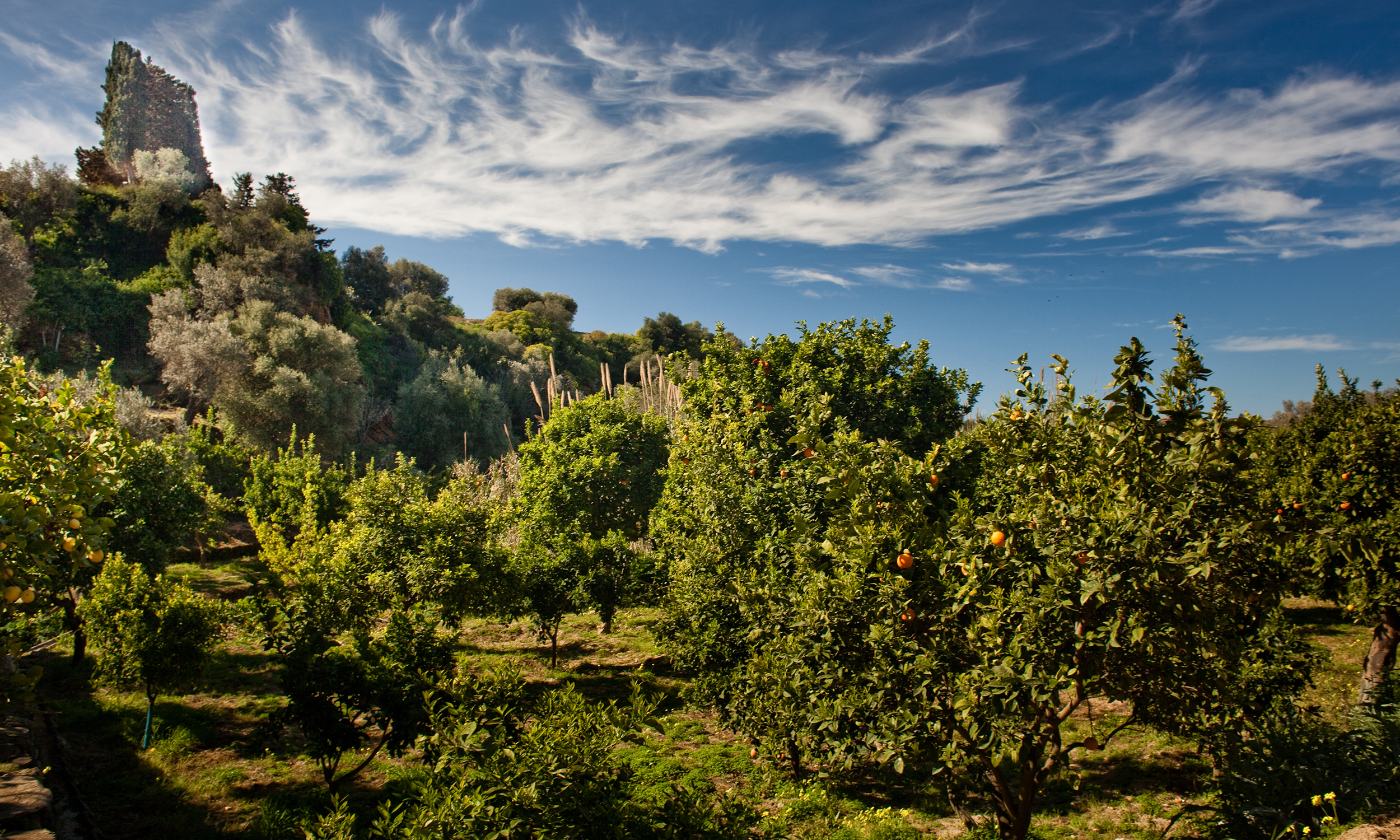 Appuntamento in Giardino
