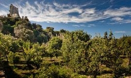 Appuntamento in Giardino