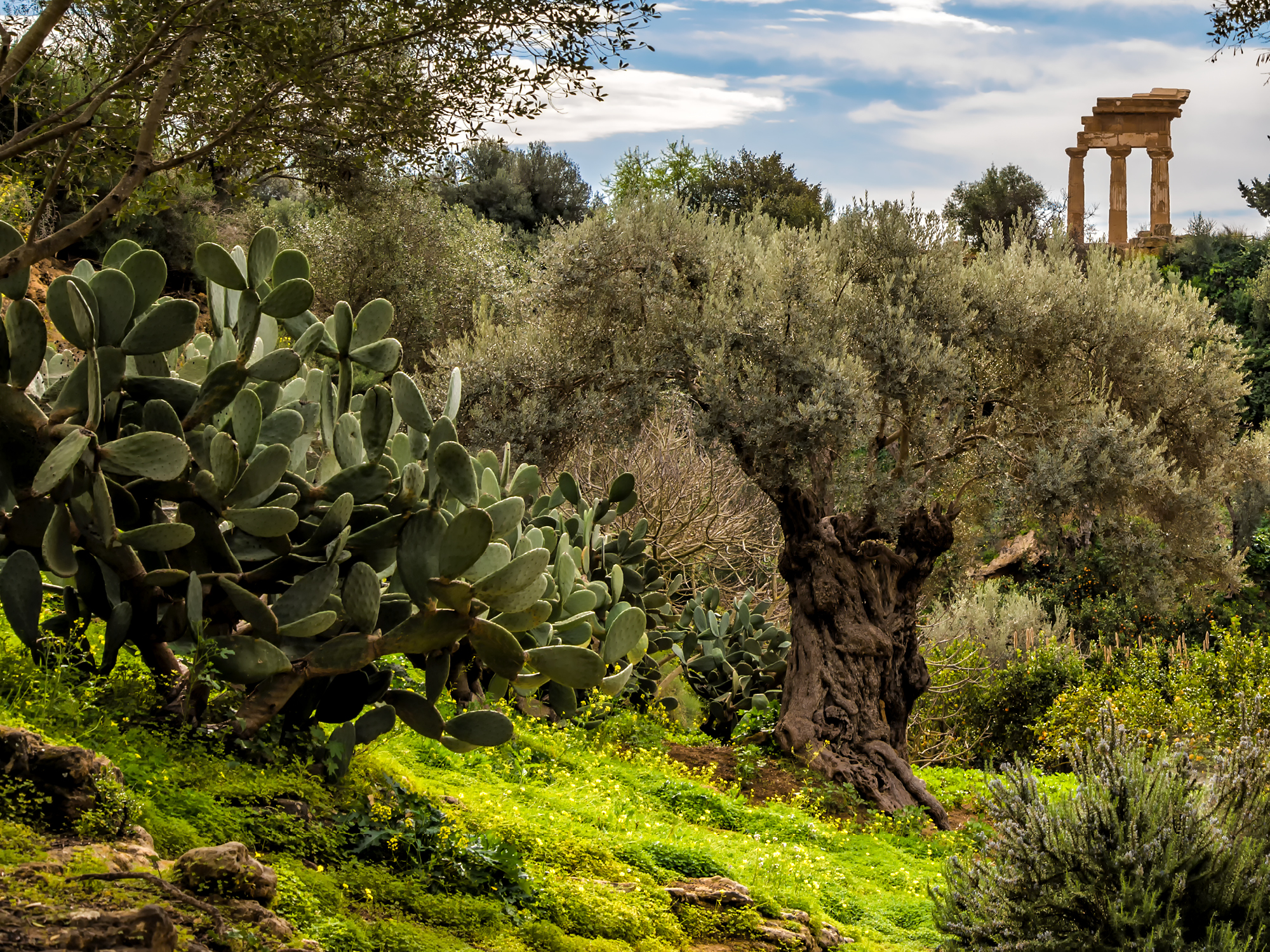 Il Natale dei bambini