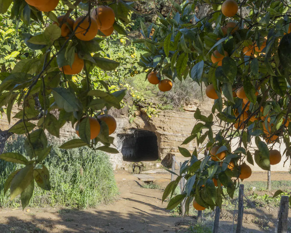 Picnic al Giardino Picnic al Giardino