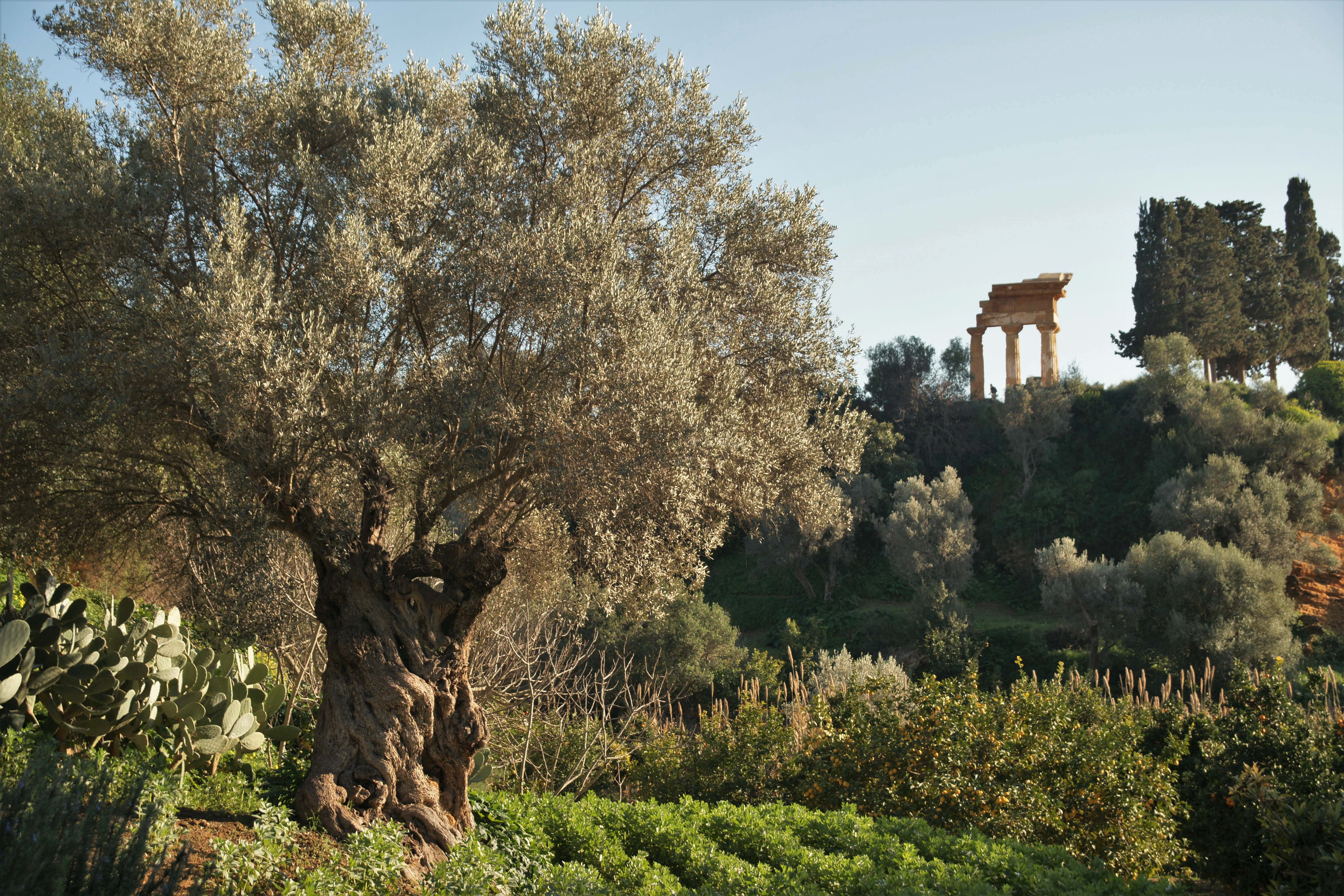 Prima domenica del mese - Visita guidata