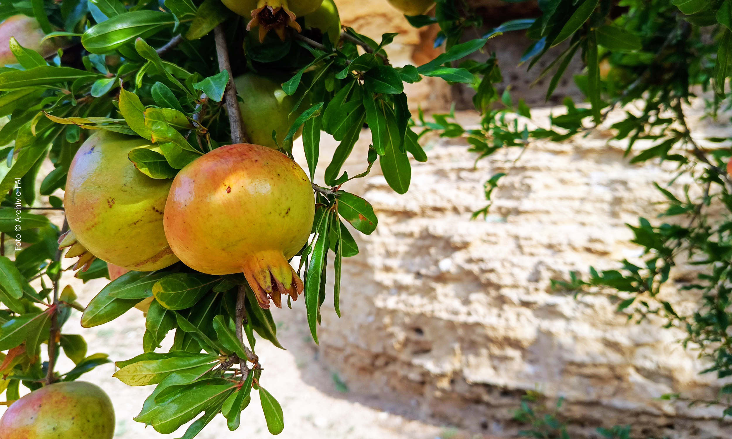 Un paesaggio da mangiare