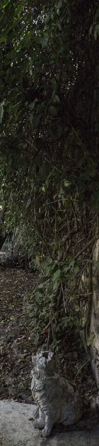 "FAI UN SALTO IN CAMPANIA: MERAVIGLIE NASCOSTE" - IL GIARDINO DI BABUK | ph. FAI | © FAI - Fondo Amb Giardino di Babuk, "FAI UN SALTO IN CAMPANIA: MERAVIGLIE NASCOSTE" - IL GIARDINO DI BABUK, GIARDINO DI BABUK, NAPOLI