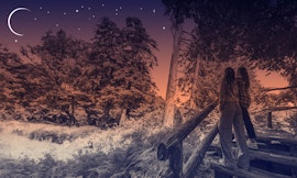 Benessere in Natura: Sessione di immersione forestale