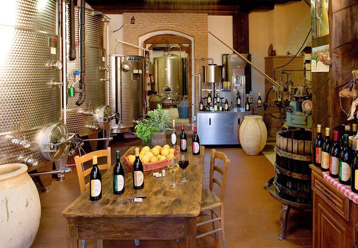 FAI un giro in vigna - Bastia e il suo vino FAI un giro in vigna - Bastia e il suo vino