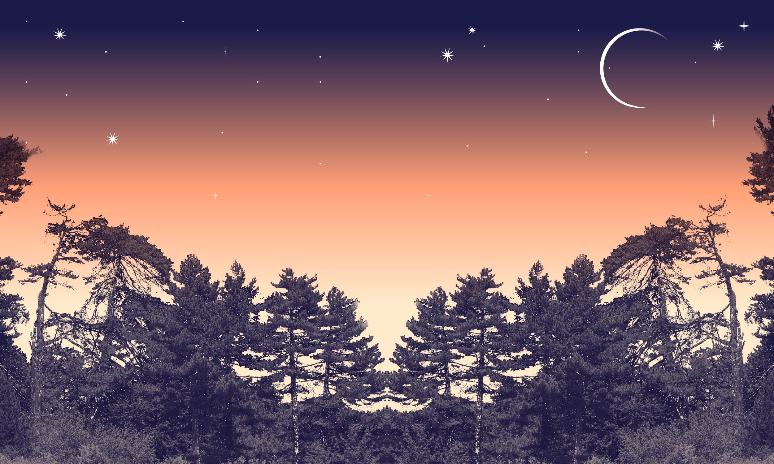 Benessere in Natura: Sessione di immersione forestale