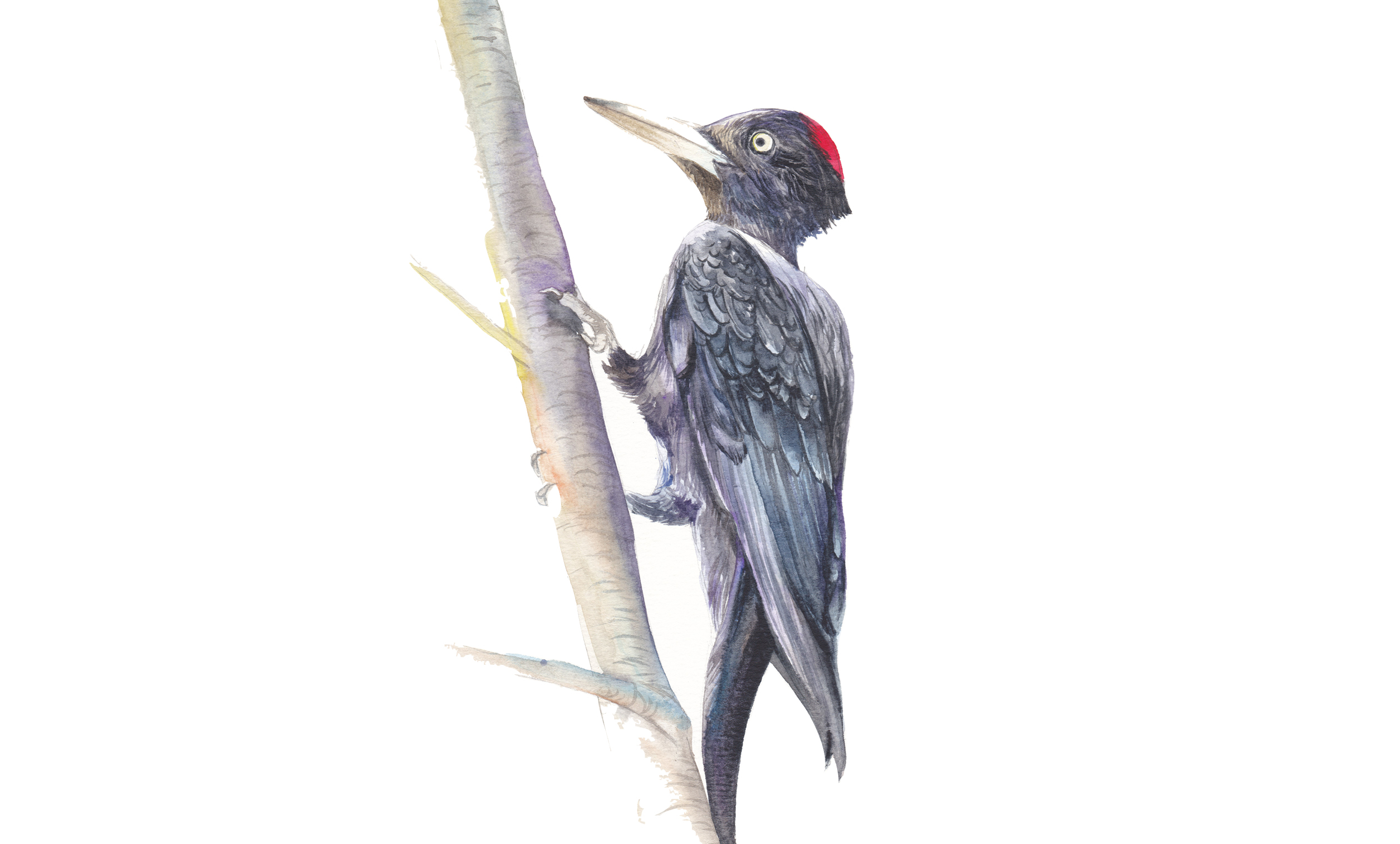 Visita guidata speciale alla scoperta della fauna