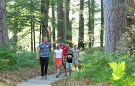 Il Giardiniere racconta