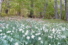 Il risveglio della natura: Trekking di Primavera