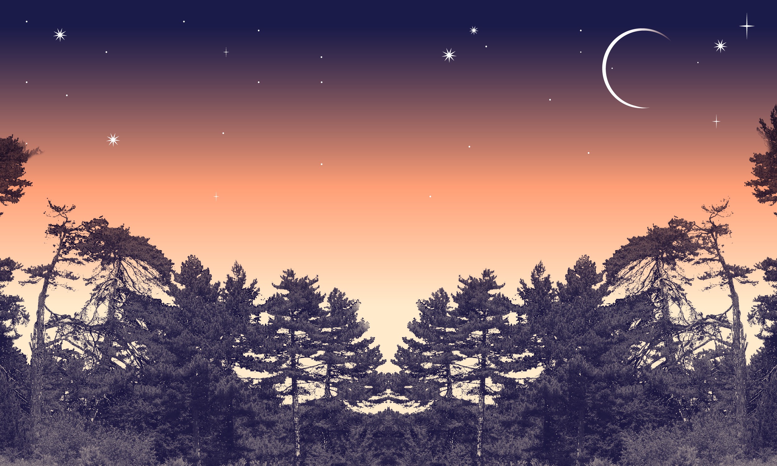 Le Musiche Tradizionali della Calabria tra i Giganti della Sila