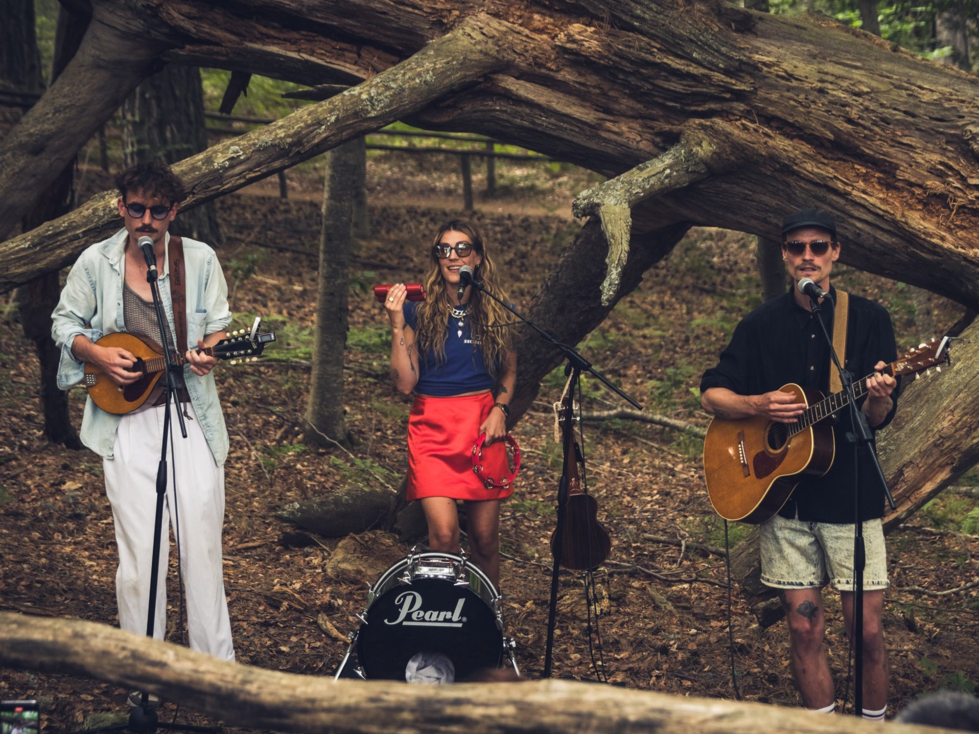 Suoni tra i Giganti della Sila