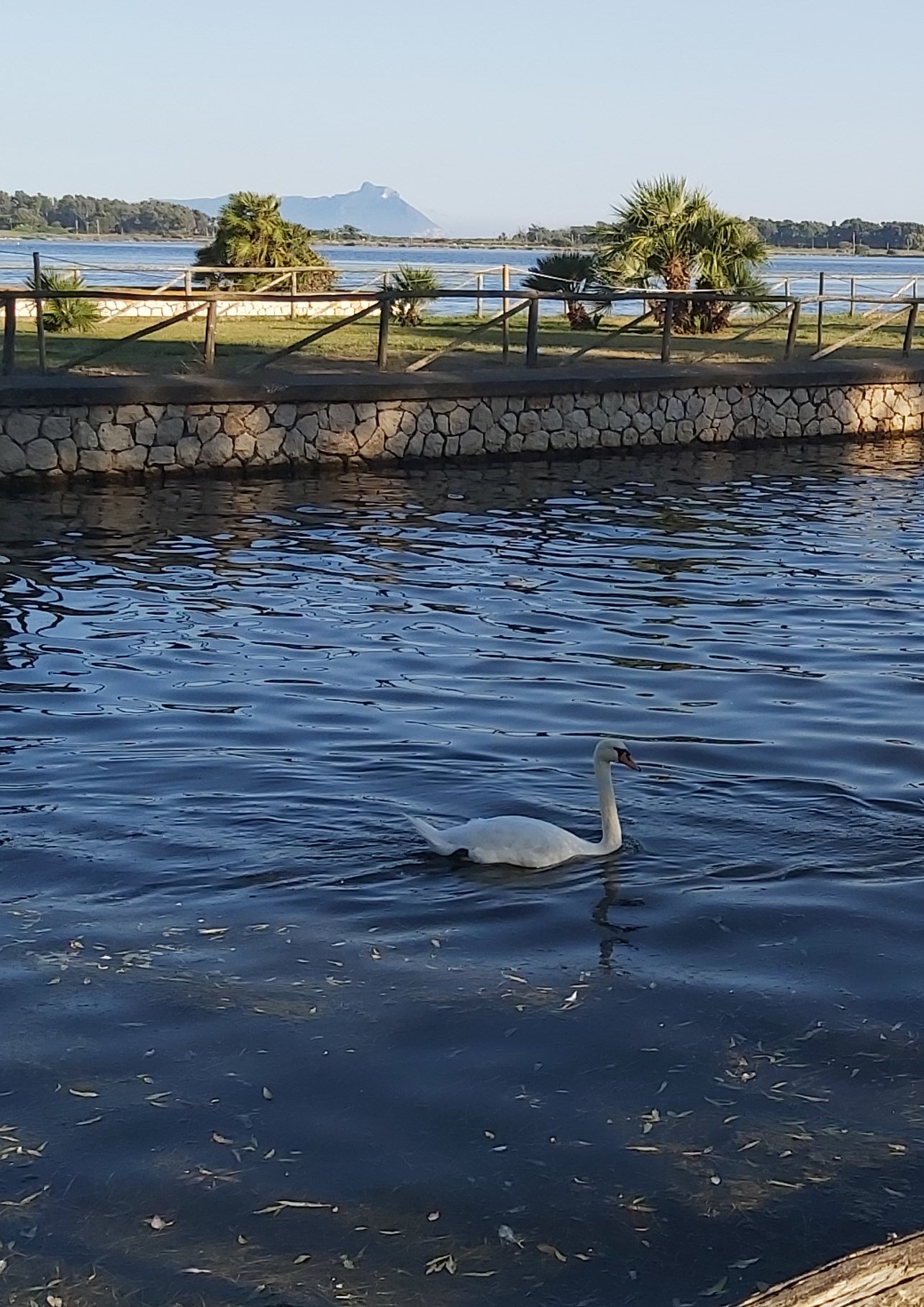 FAI BIRDWATCHING CON NOI AL PARCO NAZIONALE DEL CIRCEO NEL BORGO DI FOGLIANO A LATINA
