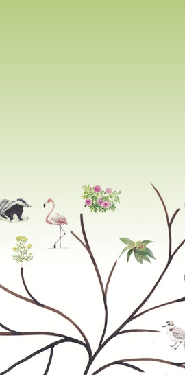 Biodiversità e agricoltura biologica nei frutteti della valle del Trigno