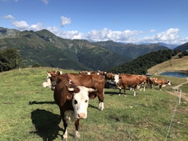Agrotech - Alpe Moncerchio