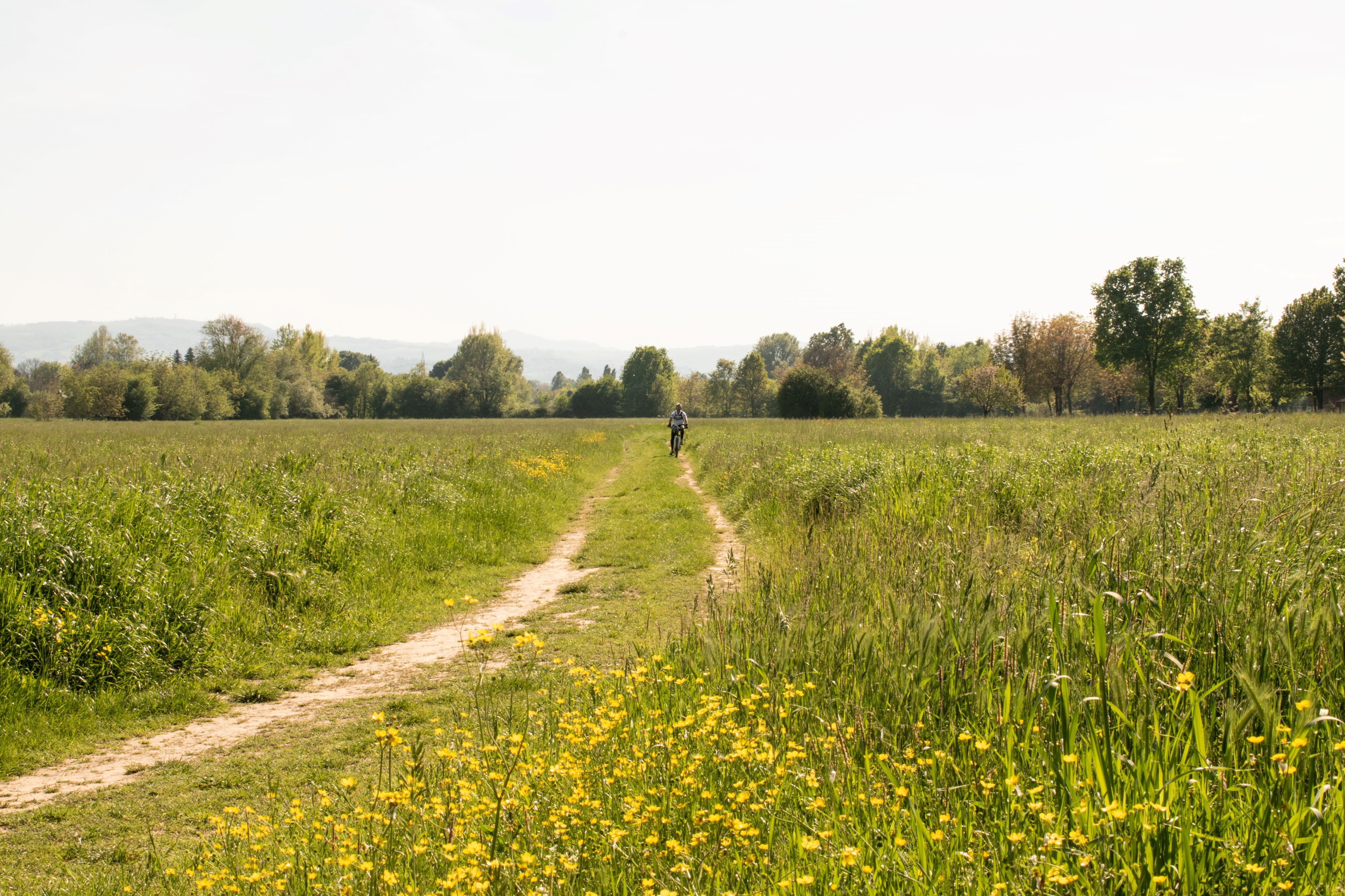 Giardini Aperti - Il Parco del Rodano e il Giardino Officinale di Gabrina