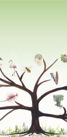 Picasso Food Forest