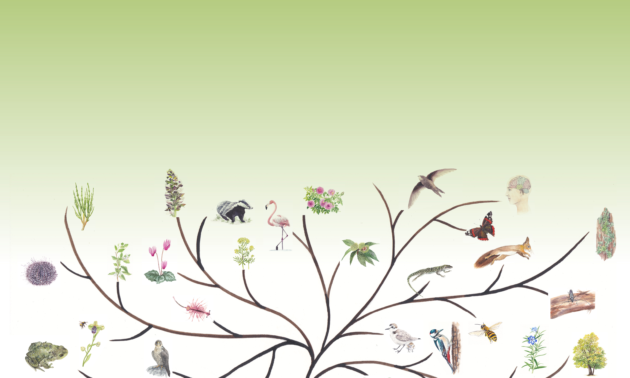 Un Castello di biodiversità - Giornate della biodiversità a Castel Grumello