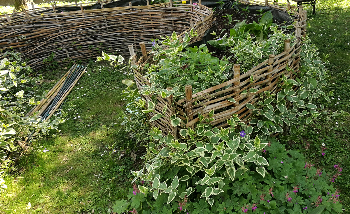Un pomeriggio al Parco Manenti: una passeggiata tra natura, arte e storia.