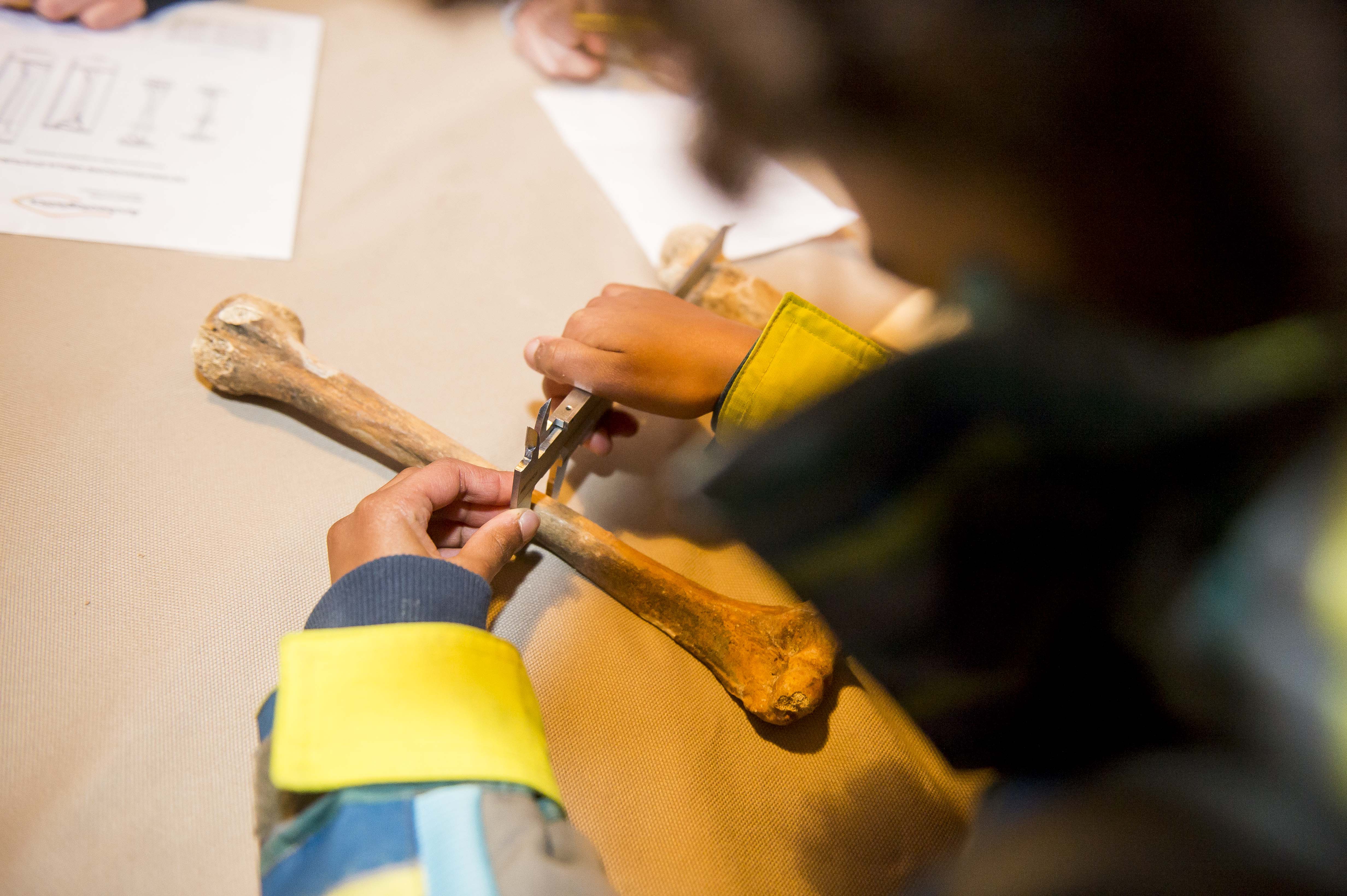 Il cantiere per i piccoli