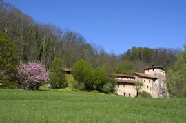 Open Day per docenti