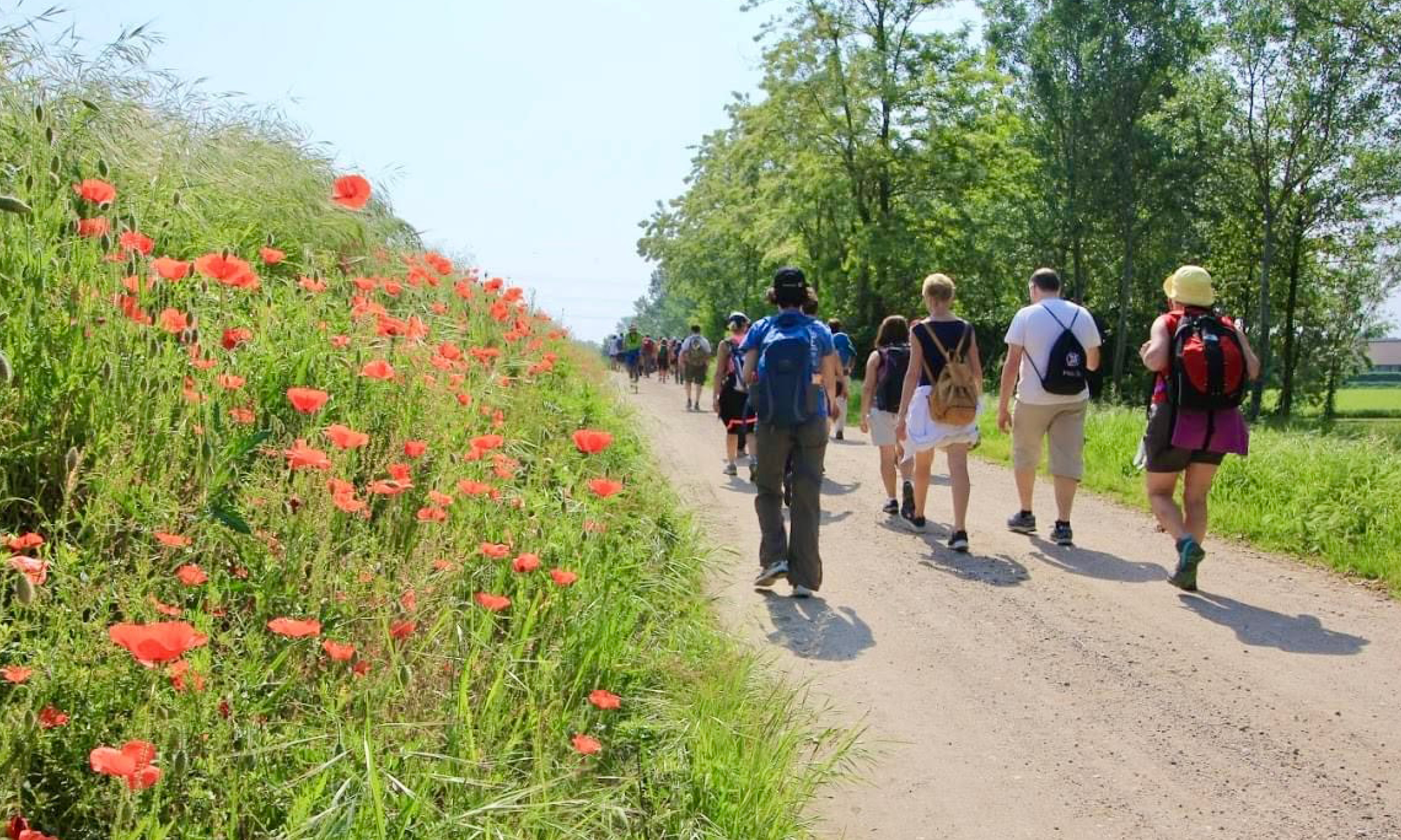 Via d'acqua e di storia