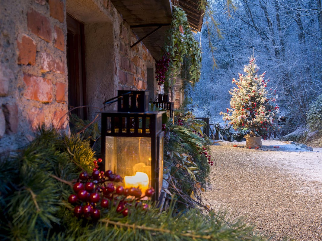 Visita con degustazione di panettone Visita con degustazione di panettone