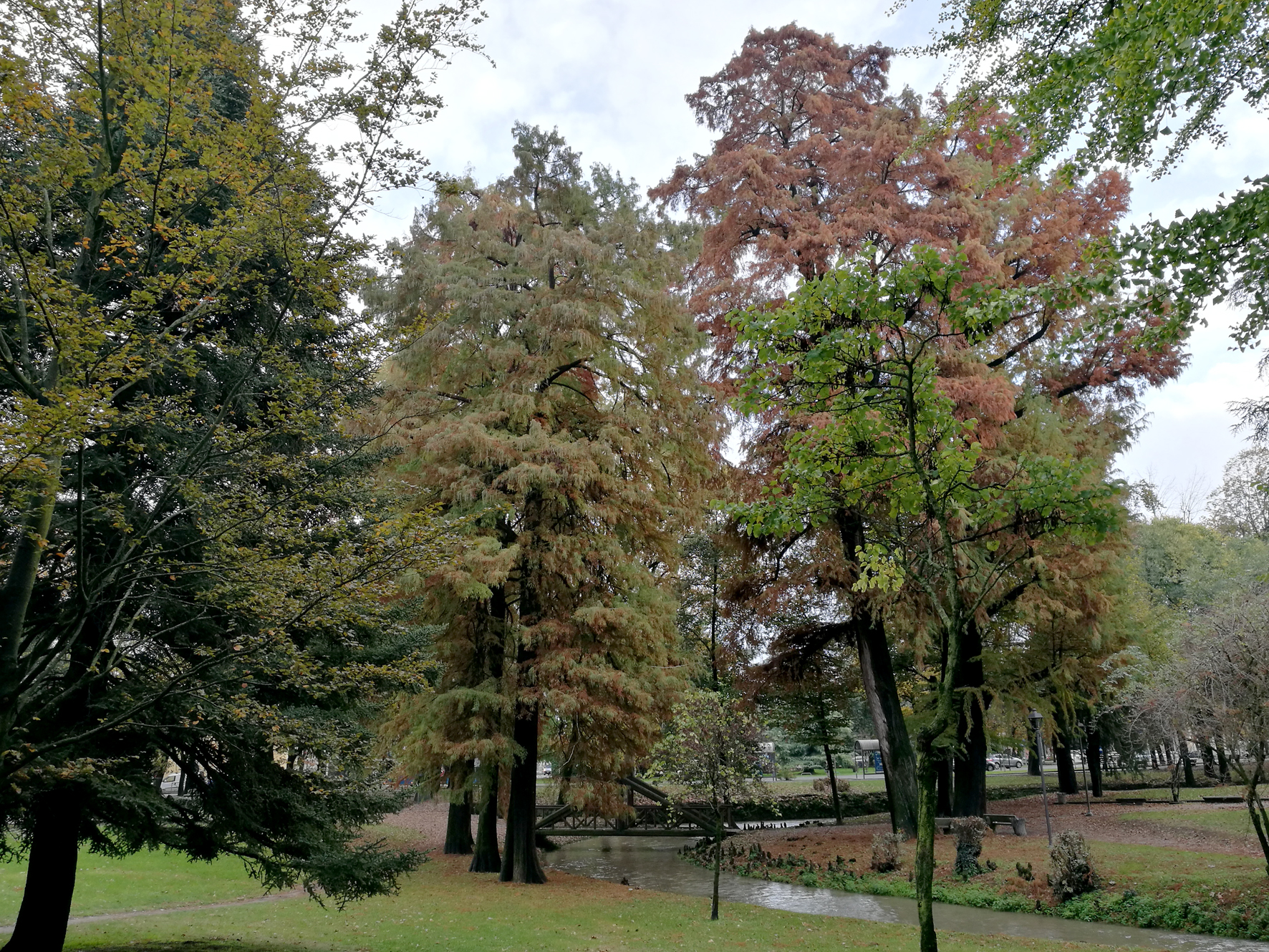 Angoli verdi per la città: i giardini pubblici di Crema