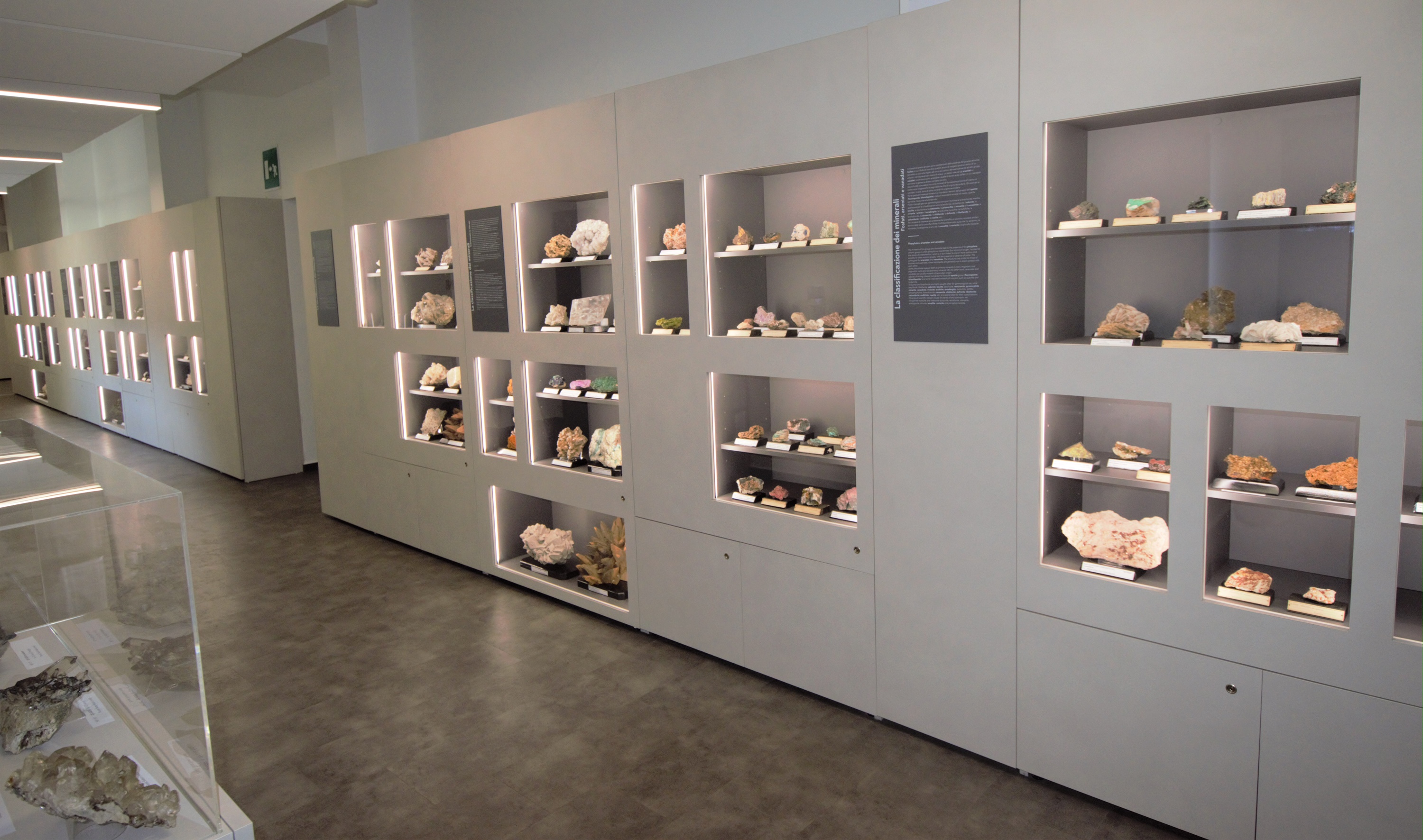 I minerali tra storia e innovazione tecnologica: visita al Museo Geo- Mineralogico del Politecnico di Torino