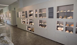 I minerali tra storia e innovazione tecnologica: visita al Museo Geo- Mineralogico del Politecnico di Torino