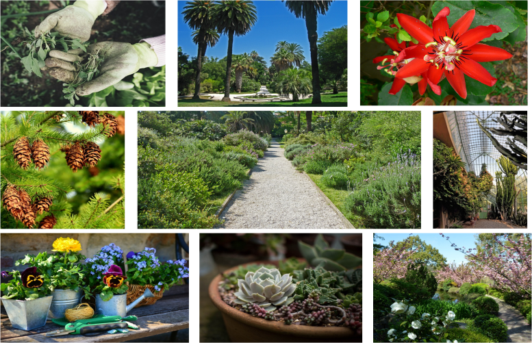 FAI Botanica 23 Maggio e 30 Maggio