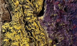 Carlo Mattioli. Textures al Negozio Olivetti