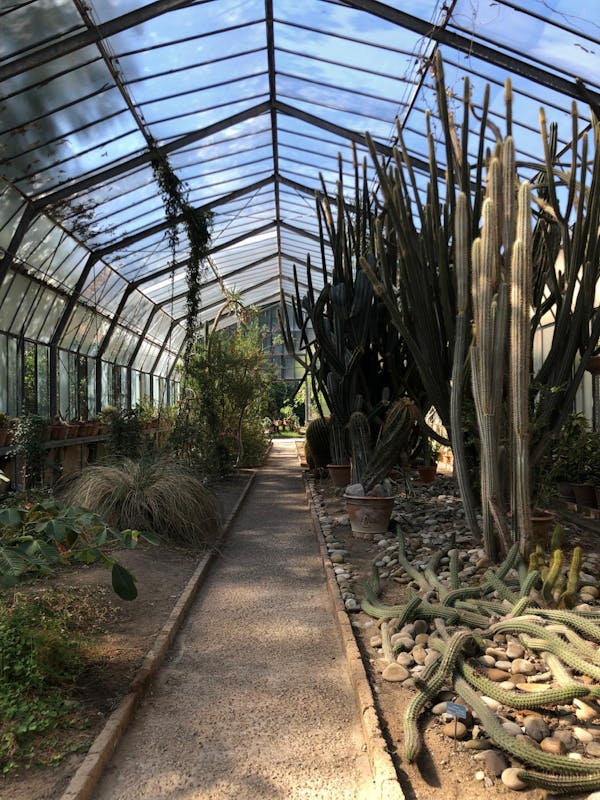 Echi di Sicilia - Palermo Echi di Sicilia - Palermo