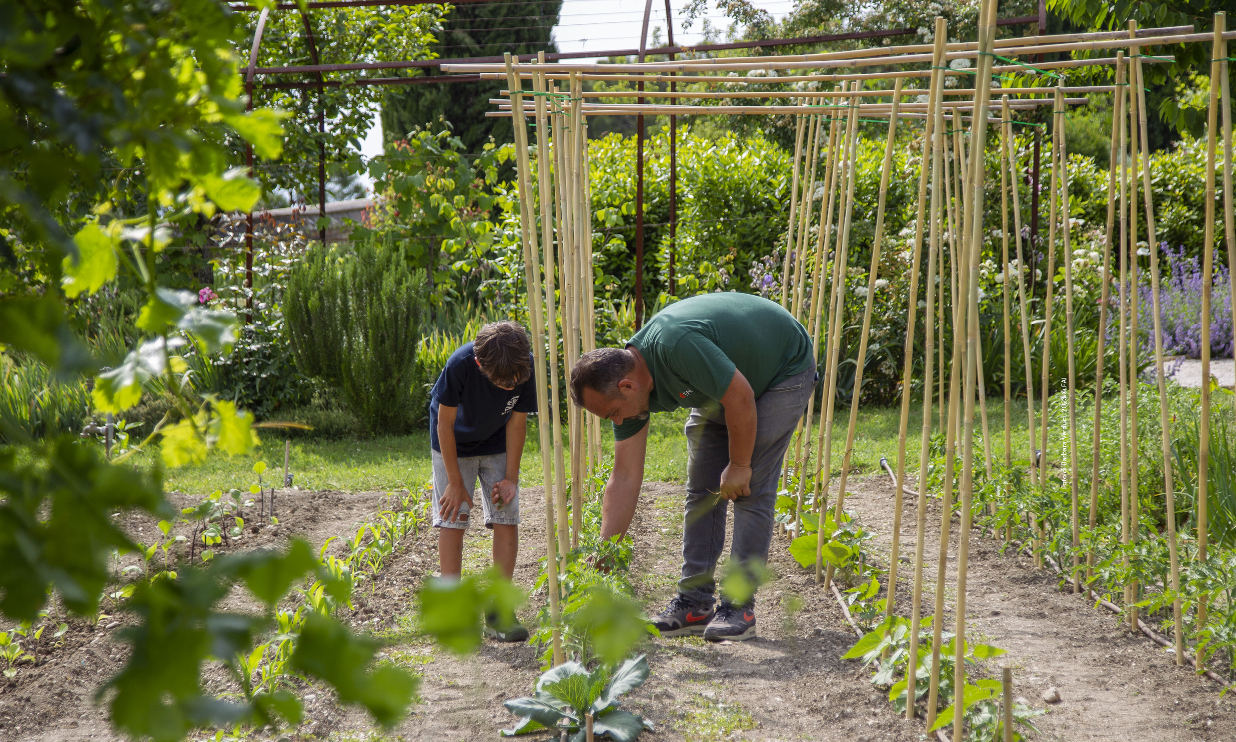 Il giardiniere racconta